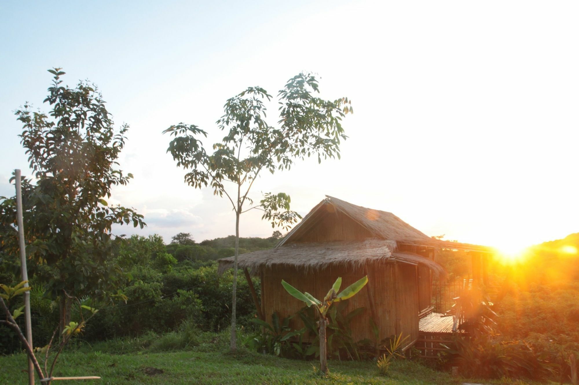Phuree Hut Koh Phayam Exterior foto